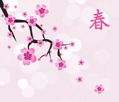 Kiraz çiçeği arka plan