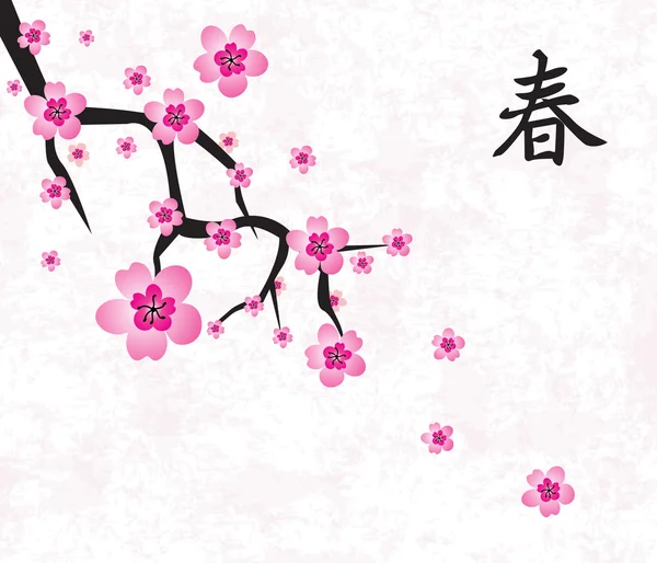 Cherry Blossom abstracte achtergrond — Stockvector