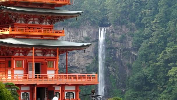 Pagoda of Seigantoji and Nachi Falls  in Wakayama — Stock Video