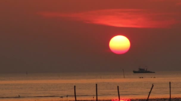 Sonnenuntergang und Vögel zoomen heraus — Stockvideo