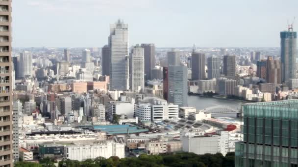 HD - Aerial view of tsukiji tokyo, Japan — Stock Video