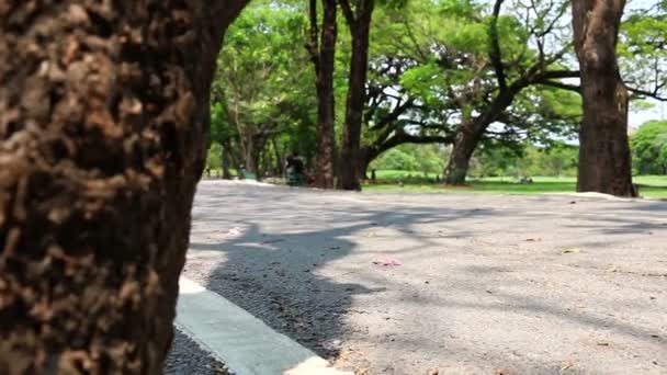 骑自行车快速传递在公园多莉射击 — 图库视频影像