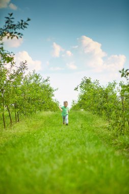 Mutlu küçük çocuk yeşil bahçesinde çalışır 
