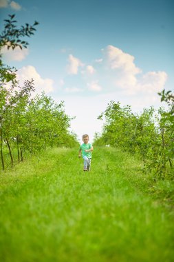 Mutlu küçük çocuk yeşil bahçesinde çalışır 