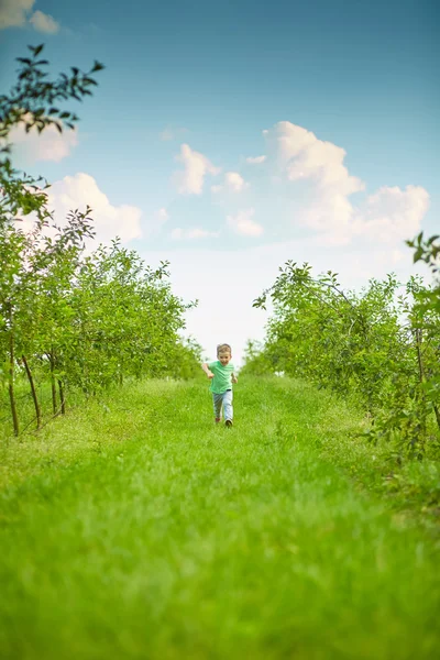 Felice bambino corre nel giardino verde — Foto Stock