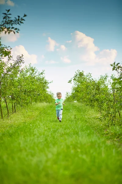 Šťastný chlapec běží v zelené zahradě — Stock fotografie