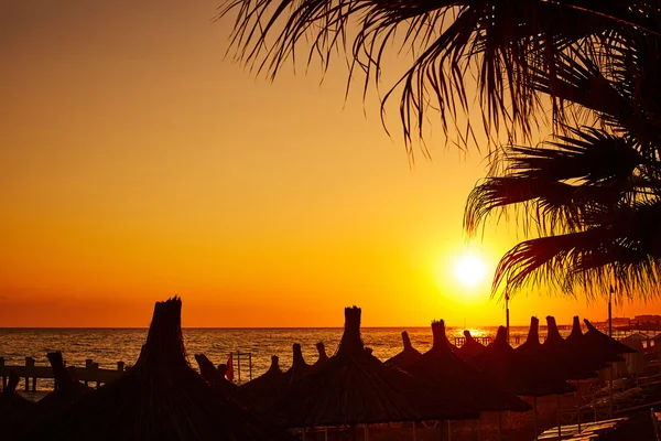 Stunning sunset on seacoast  with palms and parasols — Stock Photo, Image