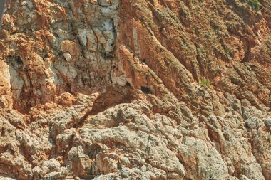 Bir ağaçta ile güneşli dağ