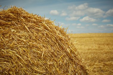 Yaz Çiftliği alanın büyük saman balya ile portre manzara