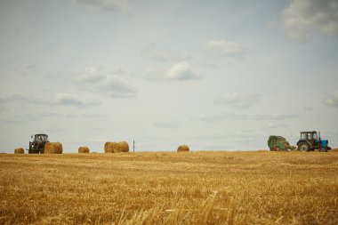 Sarı farmfield ve saman balya ve traktör ile kırsal