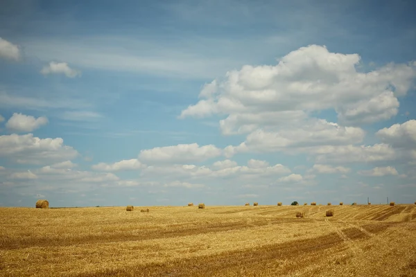 Pohled na klidné žlutá farmě pole — Stock fotografie