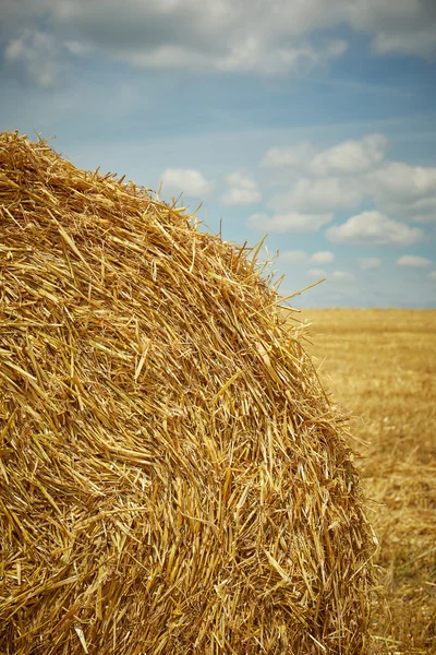 Calm view of straw bale on the field — Stock Photo, Image