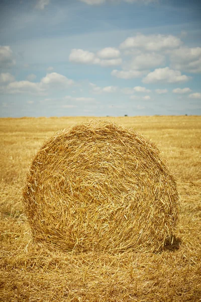 Gele stro baal op boerderij veld met blauwe lucht — Stockfoto