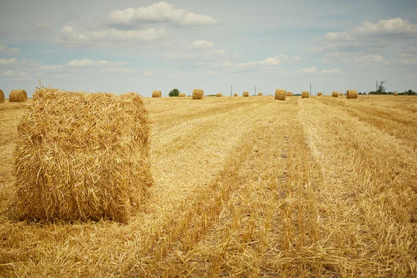 Vue imprenable sur la campagne en été avec balle de paille — Photo