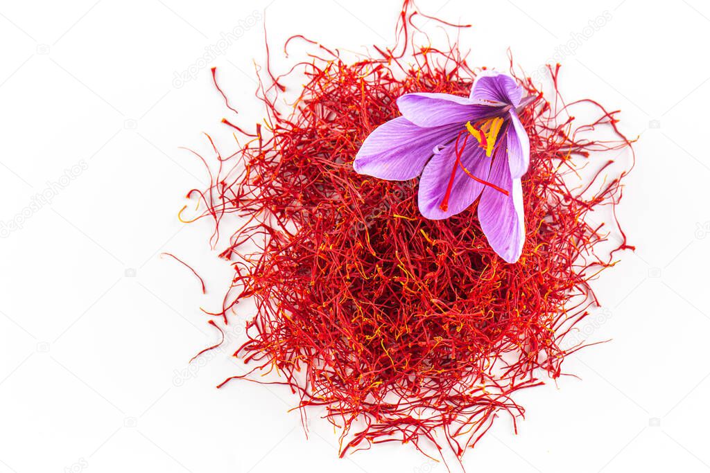 Fresh saffron flower on a background of dried saffron on a table. Place for your text
