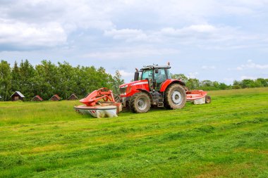 İki çim biçme makineli büyük kırmızı traktör çimleri biçer.