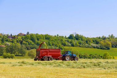 Yiyecek toplayıcılarıyla dolu bir traktör, güneşli bir günde tarladaki çimenleri söküp, traktör römorkunu dolduruyor..