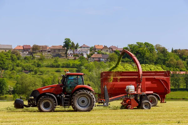 Ciągnik z kombajnami pastewnymi usuwa ściętą trawę z pola na kiszonkę napełniającą przyczepę ciągnika. — Zdjęcie stockowe