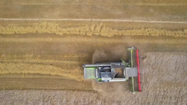 Збирання пшениці. Вид зверху на комбінацію . — стокове відео
