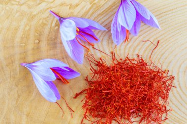 Ahşap bir masanın üzerinde safran kekemeliği yığını. Stamens yakınlarında taze toplanmış safran timsahları..