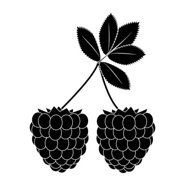 İki böğürtlen amblemi, böğürtlen çizgisi, meyve ve vitaminler, ahududu işareti, beyaz arka planda doğrusal desen