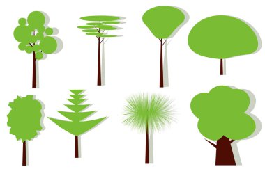 Farklı türde ağaçlar, botanik bahçesi çizimleri.