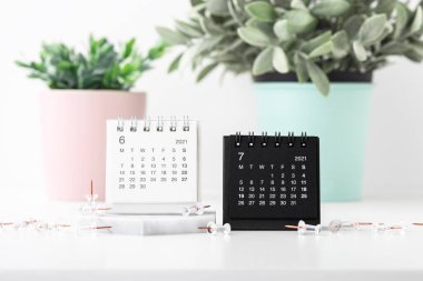 Beyaz masadaki pastel çömleklerde iğne ve bitki içeren beyaz ve siyah takvimler.