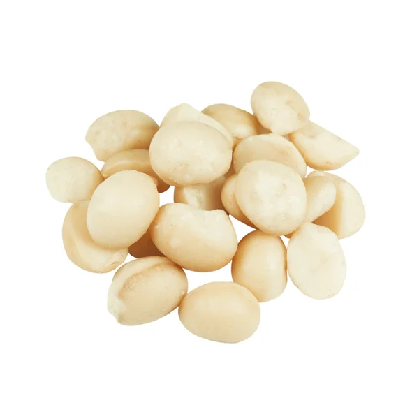 Macadamia isolata su sfondo bianco — Foto Stock