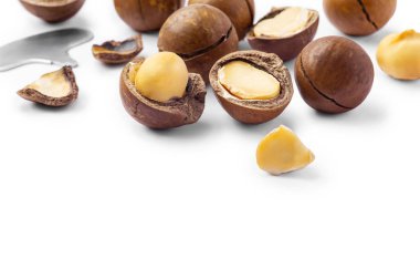 Beyaz arkaplanda izole edilmiş somun ve kabuklu Macadamia cevizi, boşluğu kopyala