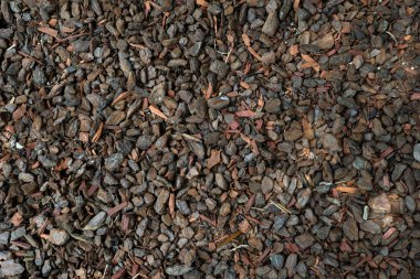 Rock ve odun artıkları