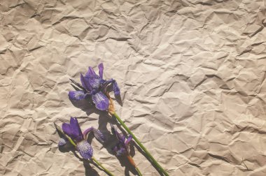 Mor zambakların kır çiçekleri bir bukette toplanır ve arkaplanda buruşmuş gri kağıt yaprakları vardır.