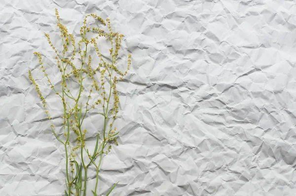 Pozadí Zmačkaného Řemeslného Papíru Suchým Květem Stylu Minimalismu — Stock fotografie