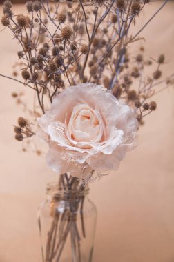 Bej arkaplanda devedikeni olan pastel renklerde yapay bir gül.