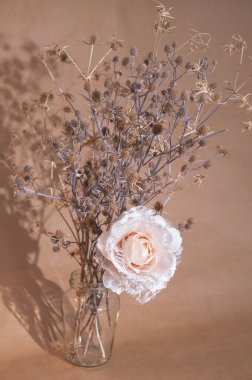 Bej arkaplanda devedikeni olan pastel renklerde yapay bir gül.