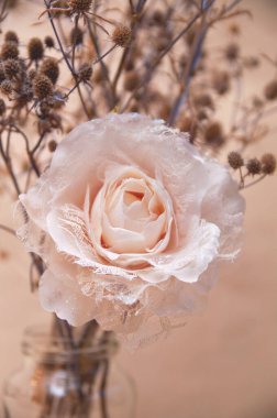 Bej arkaplanda devedikeni olan pastel renklerde yapay bir gül.