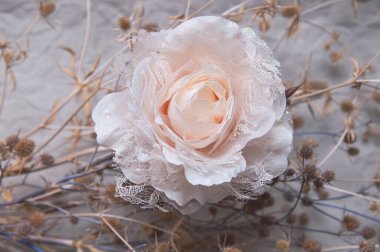 Gri arkaplanda devedikeni olan pastel renklerde yapay bir gül.