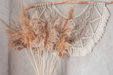 Oturma odasında, beton duvarın yanında boho tarzında kurumuş yabani çiçekler.