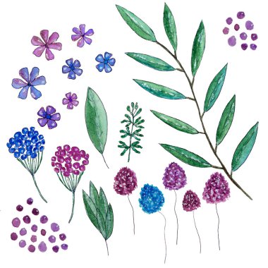 Yapraklı çiçek kolajı, küçük yonca çiçekleri ve renk lekeleri.