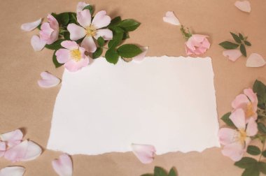 Boş kağıt, pembe tomurcuklar çiçekler ve gül yaprakları, yeşil yapraklar bej arka planda yayılır.