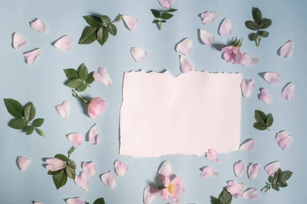 Papel Blanco Flores Capullos Rosados Pétalos Rosa Las Hojas Verdes —  Fotos de Stock