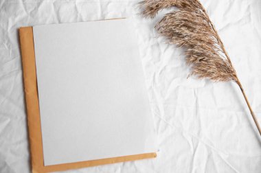 Zarflı beyaz kart, otlar. Beyaz boş ve harf sarısı renkli beyaz tekstil üzerinde basit bir minimal düz