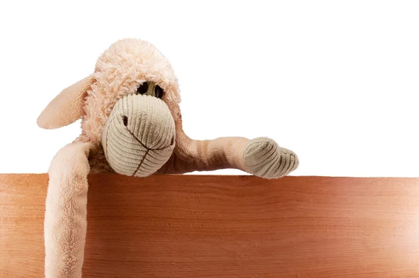 Toy sheep on the board — Stock Photo, Image