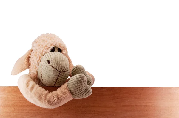 Toy sheep on the board — Stock Photo, Image