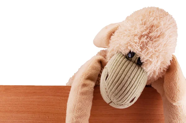 Toy sheep on the board — Stock Photo, Image