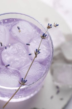 Yaz aylarında lavanta filizi, buz ve köpüklü alkolsüz kokteyl. Mocktail, sağlıklı yaşam tarzı