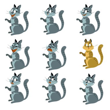 dokuz kedi ile renkli arka plan