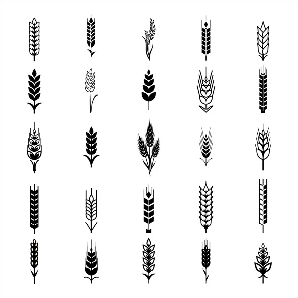 Icone orecchie di grano — Vettoriale Stock