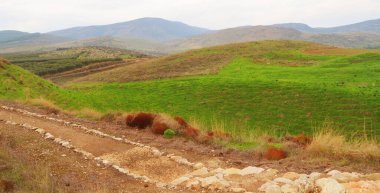 Kuzey İsrail 'deki Aşağı Celile manzarası.