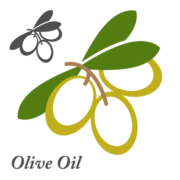 Conjunto de etiquetas de aceite de oliva — Vector de stock