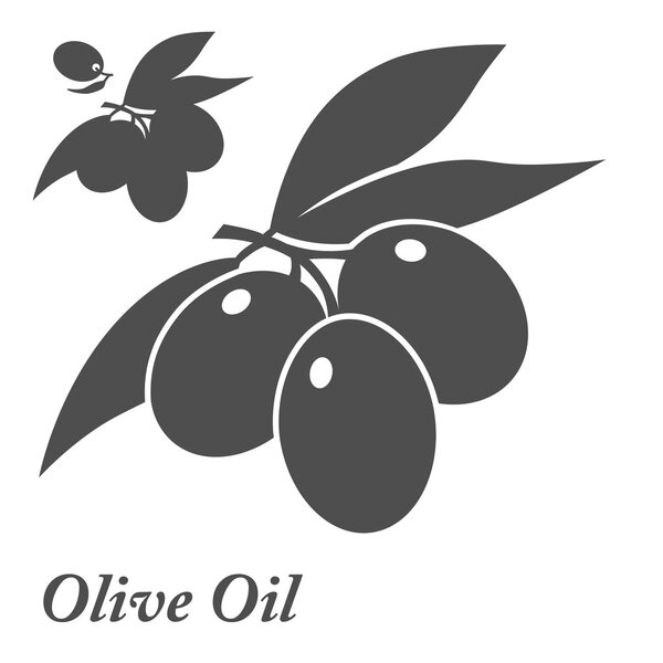 Set of olive oil labels